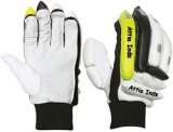 Batting Gloves